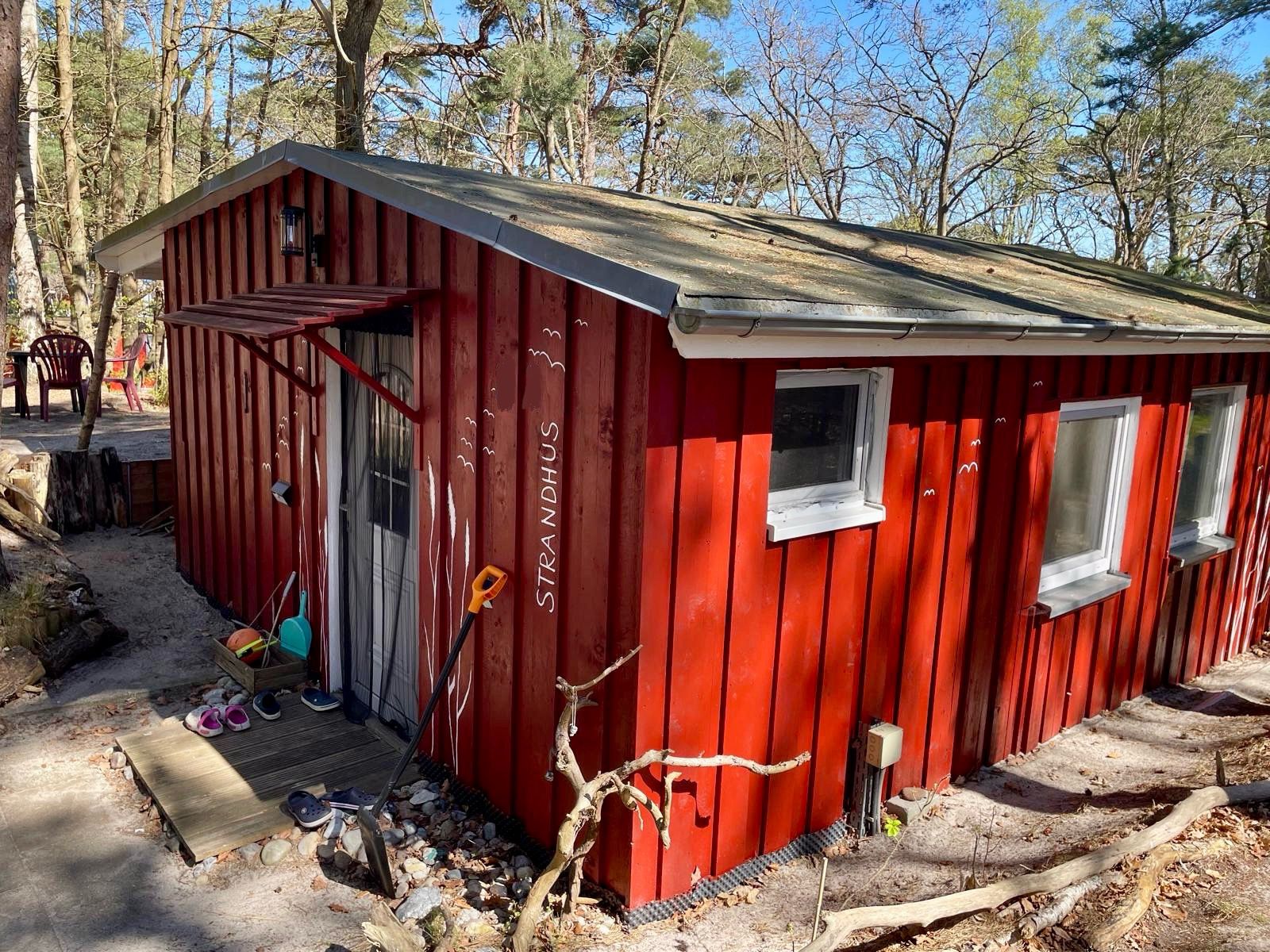 Strandhus-Bungalow im Kiefernwald des Regenbogen Camps in Göhren auf Rügen